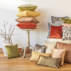 Daro Accessories Scatter Cushions